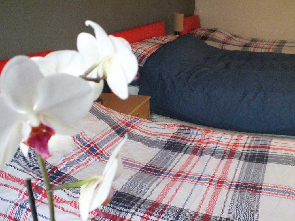 Bonna'S Bed And Breakfast Builth Wells Εξωτερικό φωτογραφία